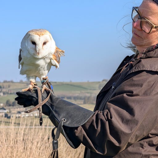 news from Lisa Slater automata