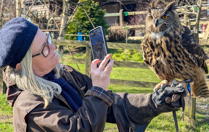 News from Lisa Slater automata